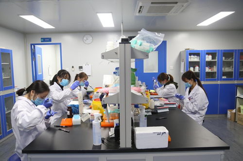 聚焦武汉解码中部引擎 探访光谷生物城，看生物制品技术开发如何驱动未来