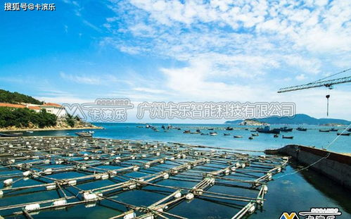 水产养殖智能监控系统与生物制品技术开发的融合创新